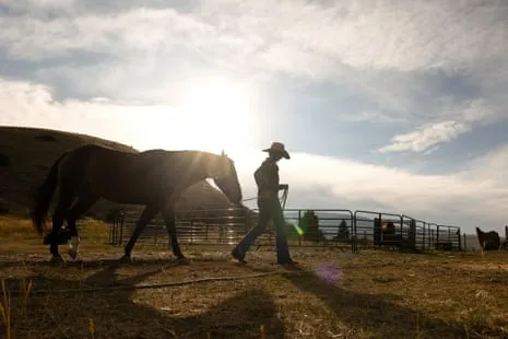 Get to Know the US Women Ranchers Transforming Contemporary Ranching