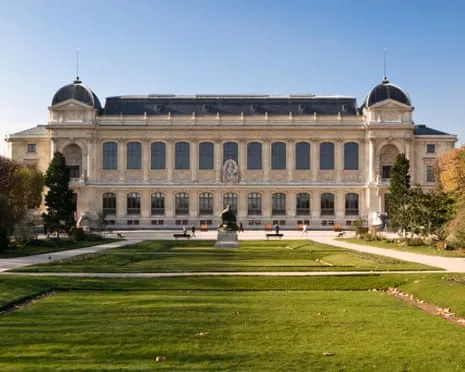 Priceless Golden Pieces Stolen in Bold Robbery at France's Natural History Museum