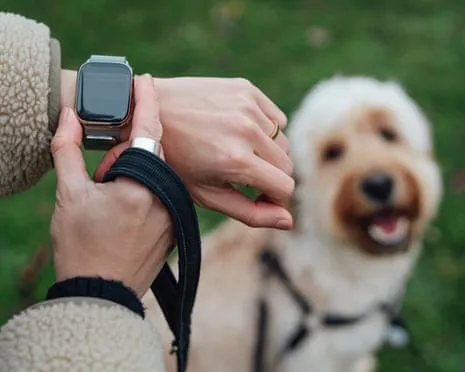 The Honest Scoop Concerning Wearable Tech? Daily Existence Feels Fuller Devoid of a Nagging Device on Your Wristwear